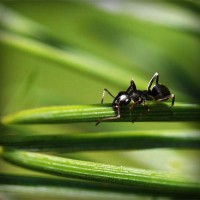 /album/garttanktranbi/photolia-a05-jpg/
