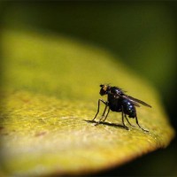 /album/garttanktranbi/photolia-a07-jpg/