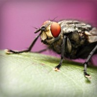 /album/garttanktranbi/photolia-a08-jpg/